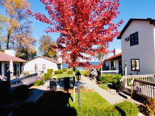 lakeview_fall